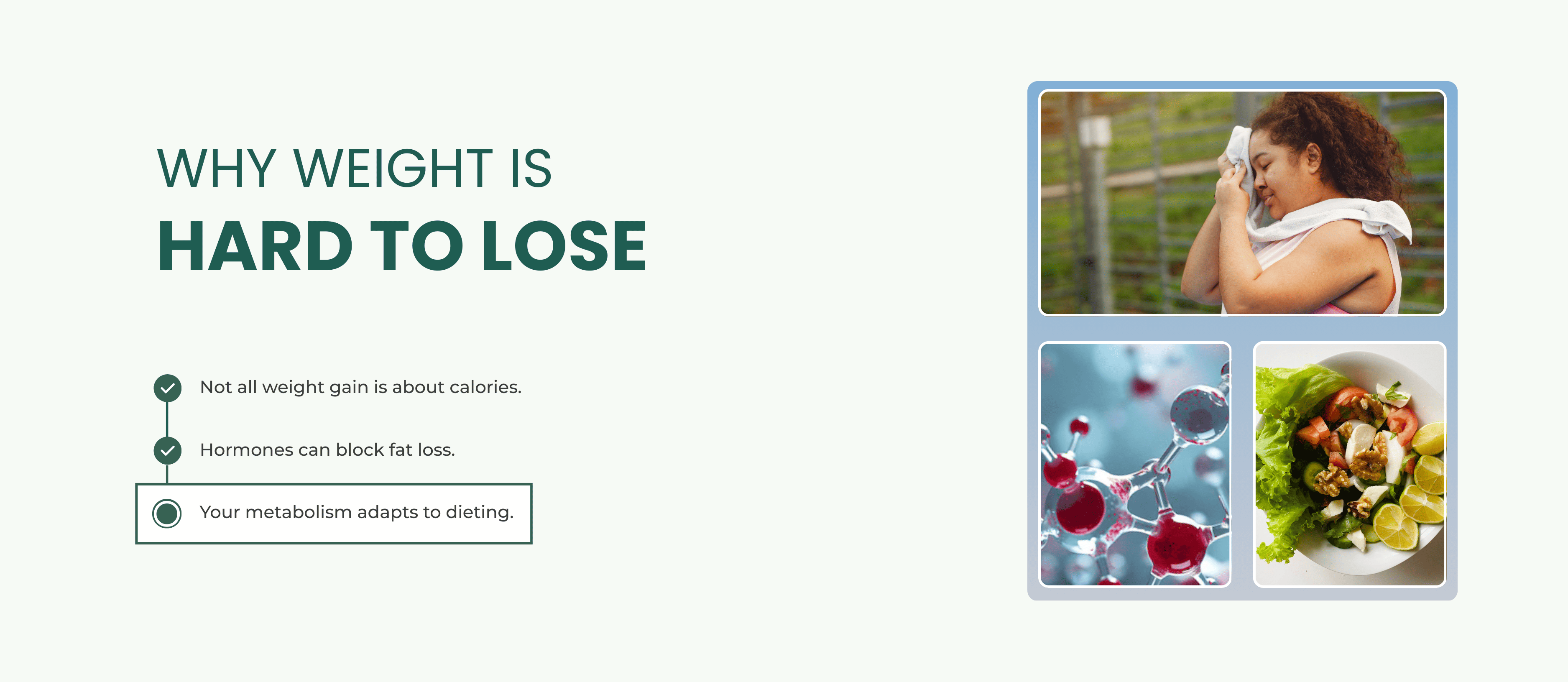 Why Weight Is Hard to Lose: Hormones, Metabolism, and the Science of Resistance